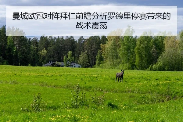 曼城欧冠对阵拜仁前瞻分析罗德里停赛带来的战术震荡